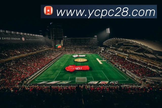 奖项图3